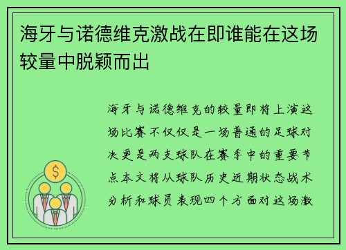 海牙与诺德维克激战在即谁能在这场较量中脱颖而出